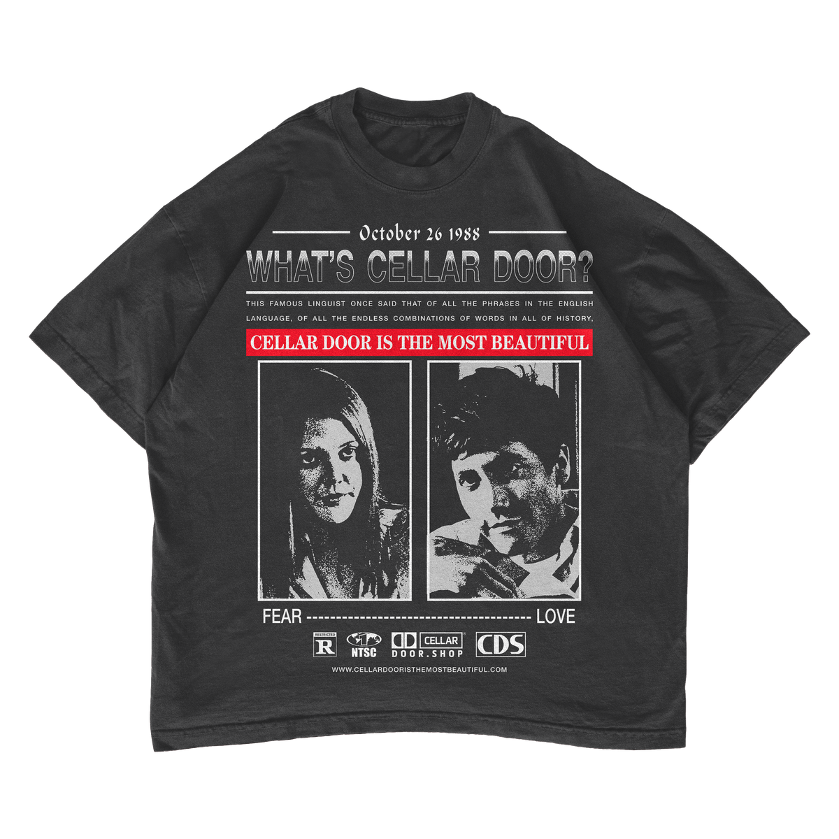 DONNIE DARKO: CELLAR DOOR