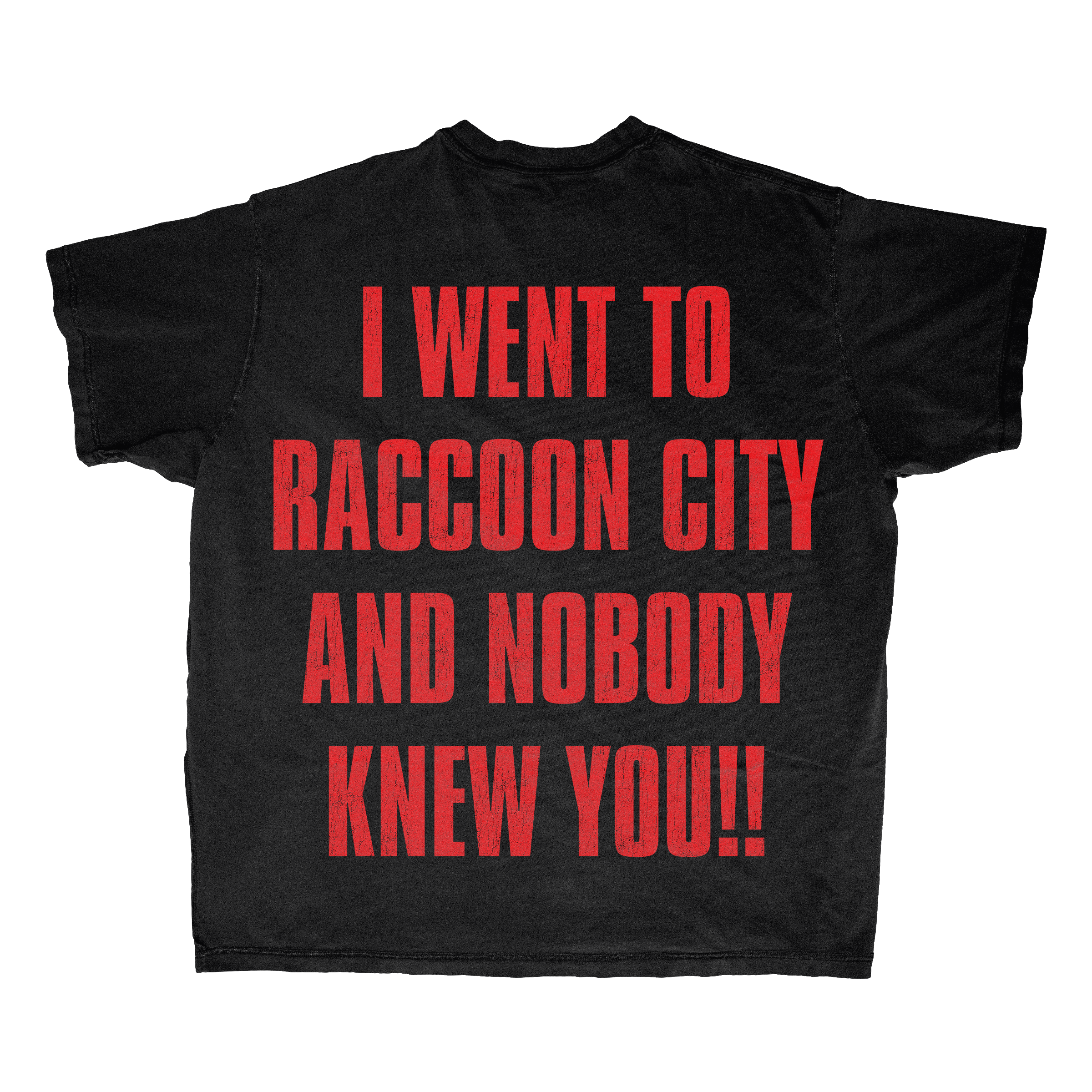 RESIDENT EVIL: RACCOON HOOD